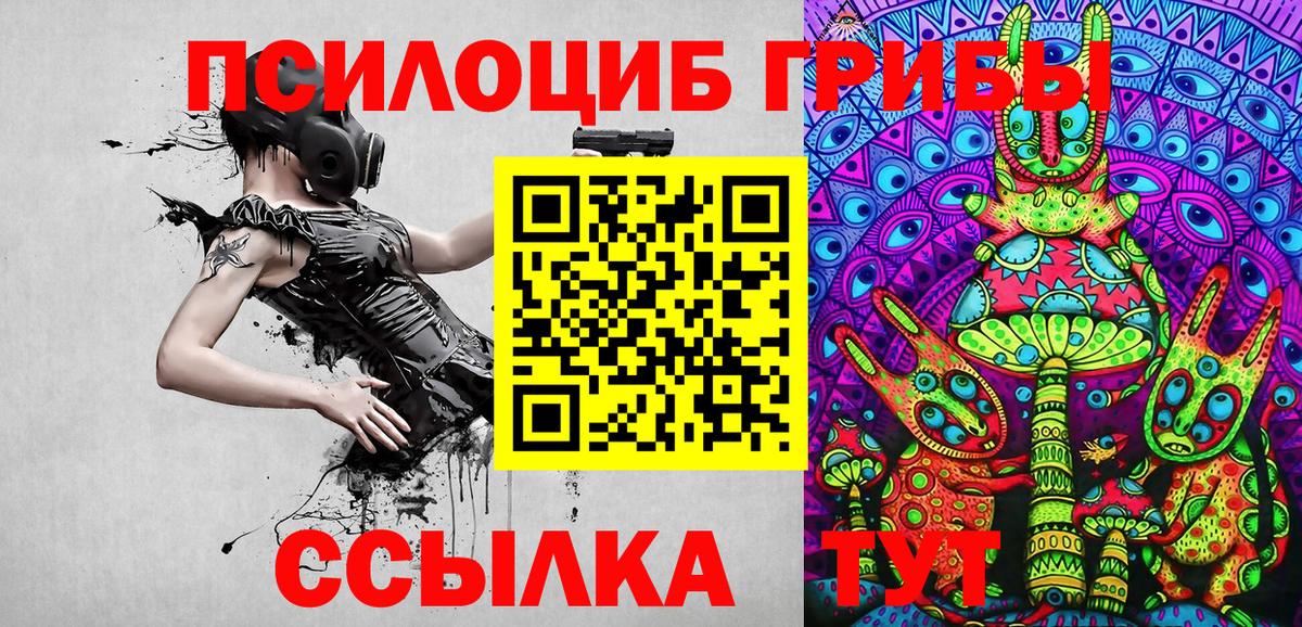 Балашов  Галлюциногенные грибы прущие грибы  Вход с VPN 