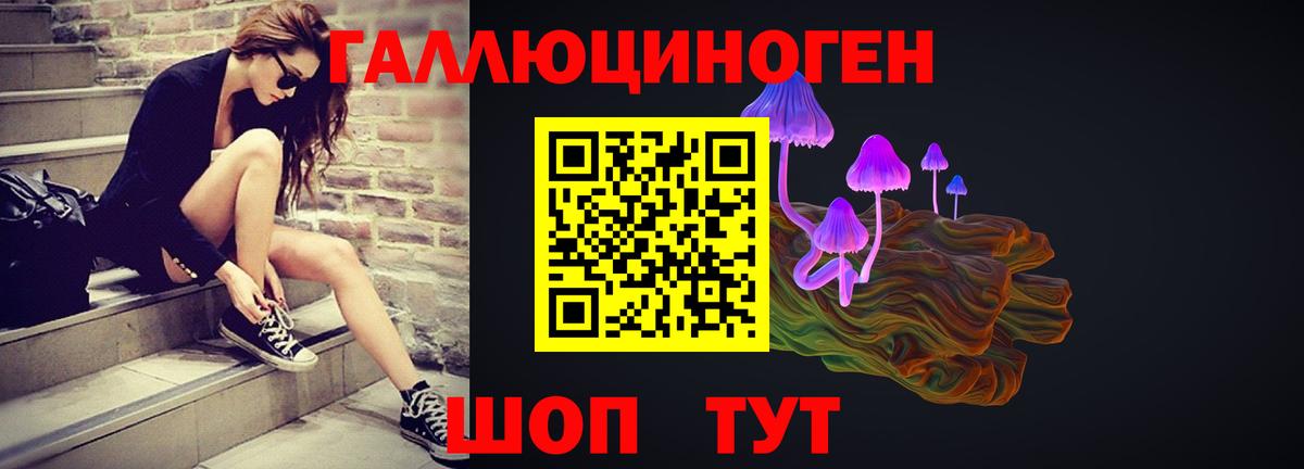 Галлюциногенные грибы Psilocybine cubensis Балашов